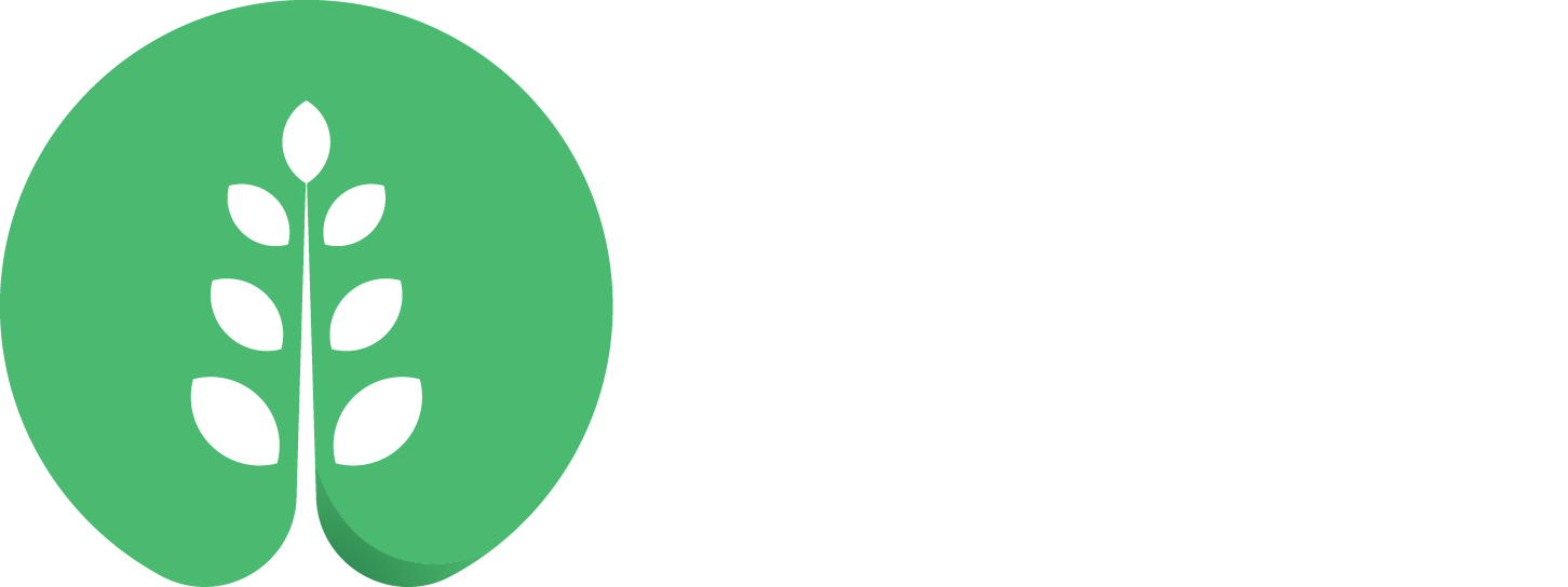 Fresh Tree Care Services 